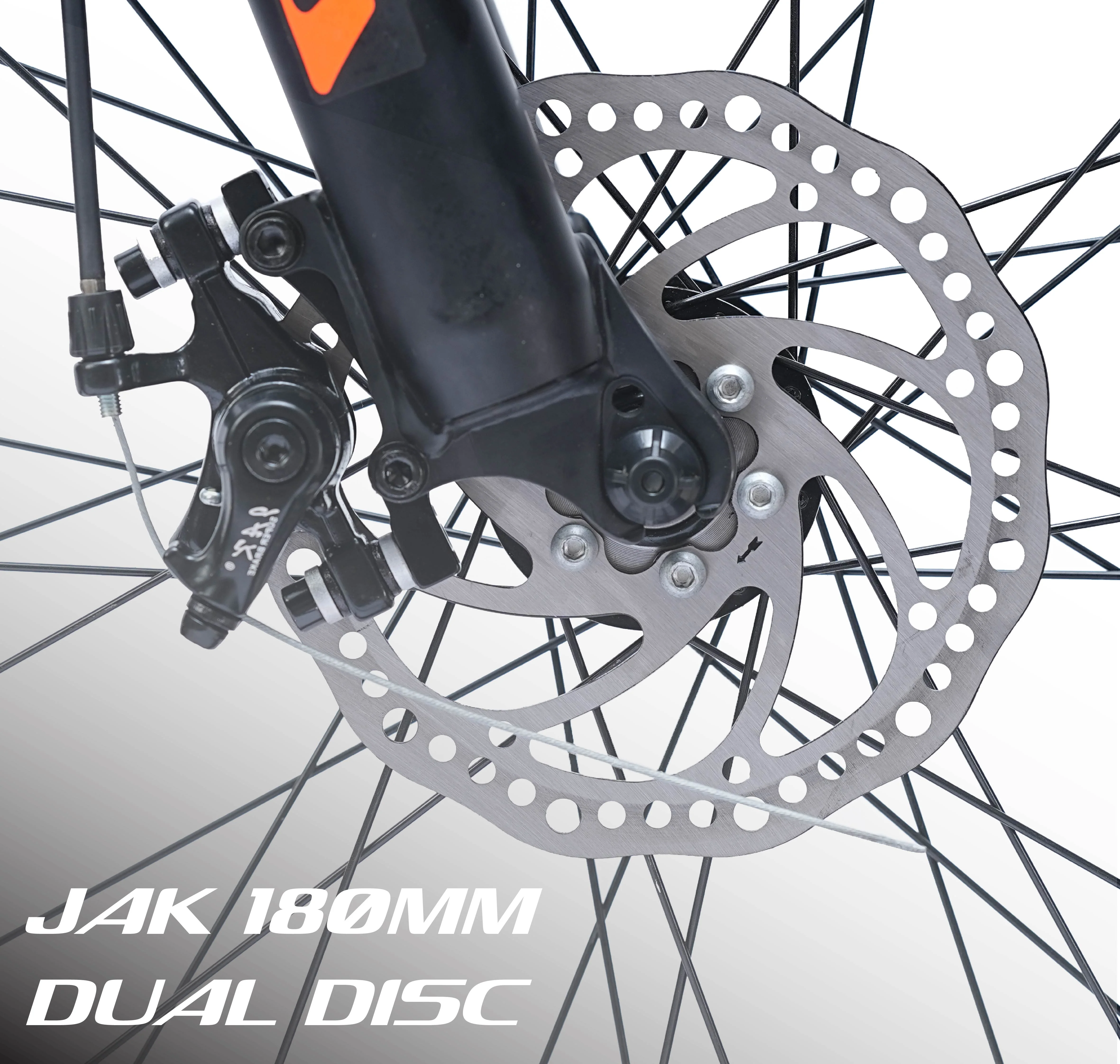 CRADIAC DEXTER 24 Speed - Image 2