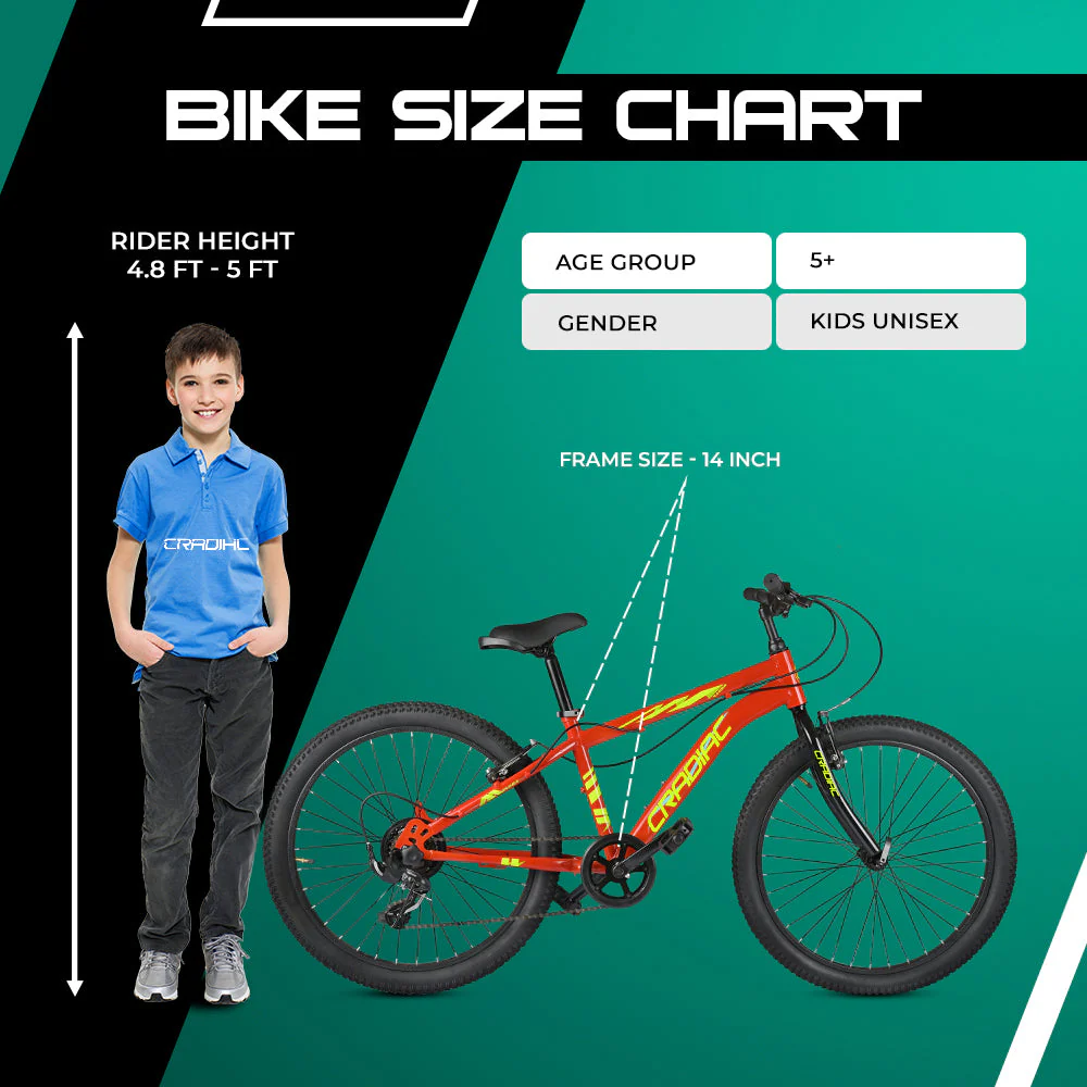 Cradiac Elora Red 7 Speed - Image 4